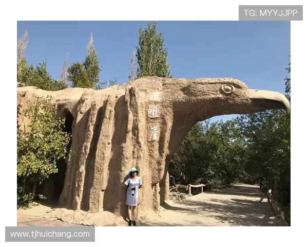 以创新精神引领时代的卓越企业家成长全景纪实与奋斗之路探索录篇